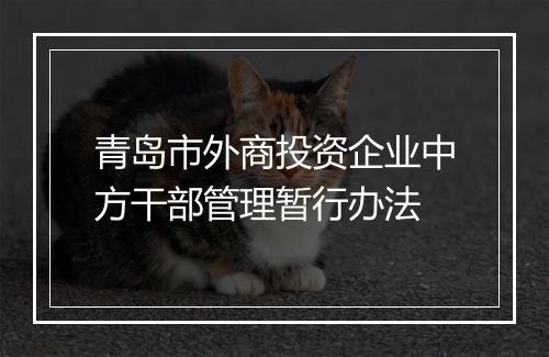 青岛市外商投资企业中方干部管理暂行办法