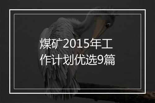 煤矿2015年工作计划优选9篇