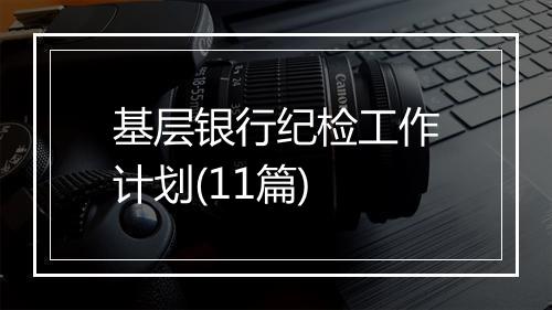 基层银行纪检工作计划(11篇)