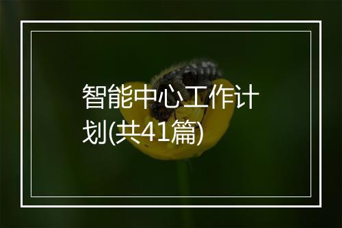 智能中心工作计划(共41篇)