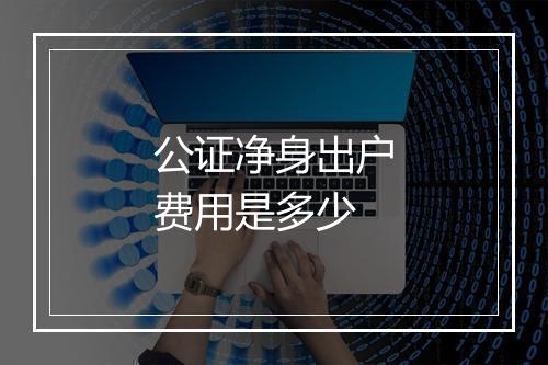 公证净身出户费用是多少