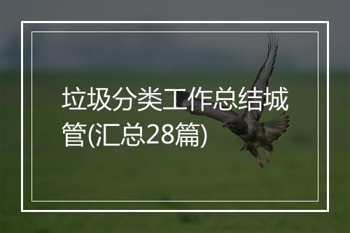 垃圾分类工作总结城管(汇总28篇)