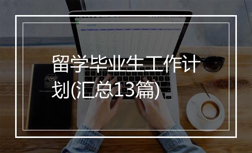 留学毕业生工作计划(汇总13篇)