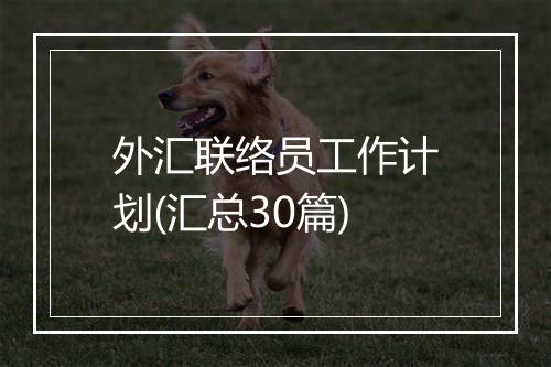 外汇联络员工作计划(汇总30篇)