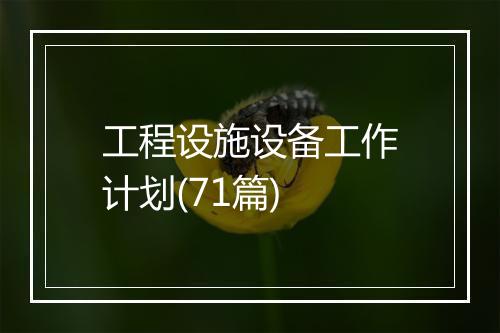 工程设施设备工作计划(71篇)