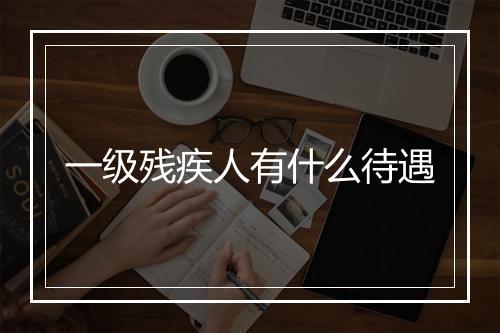 一级残疾人有什么待遇