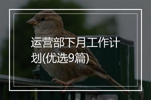 运营部下月工作计划(优选9篇)