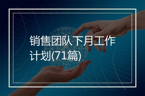 销售团队下月工作计划(71篇)
