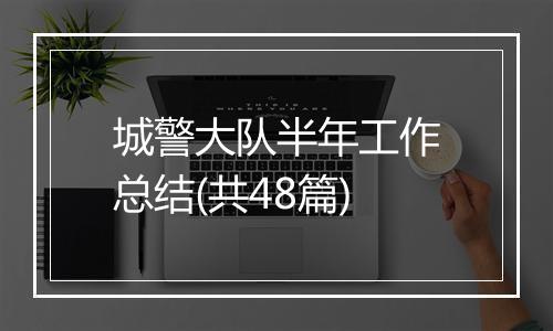 城警大队半年工作总结(共48篇)