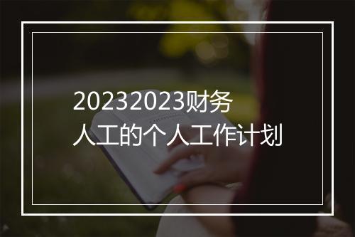 20232023财务人工的个人工作计划