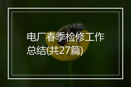 电厂春季检修工作总结(共27篇)