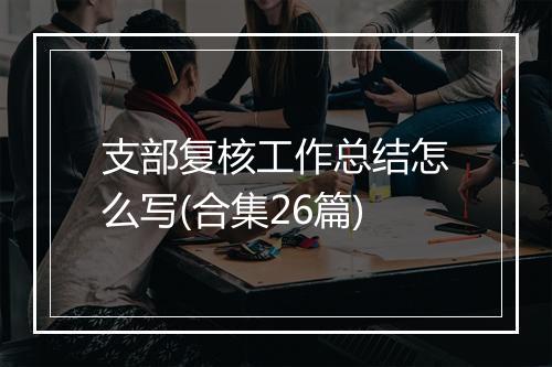 支部复核工作总结怎么写(合集26篇)