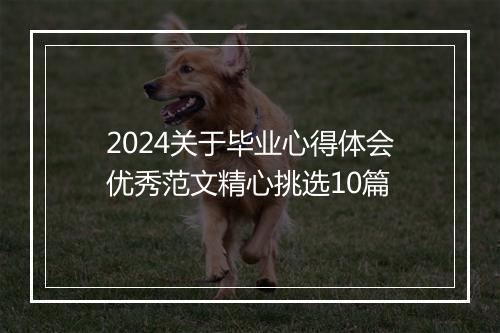 2024关于毕业心得体会优秀范文精心挑选10篇