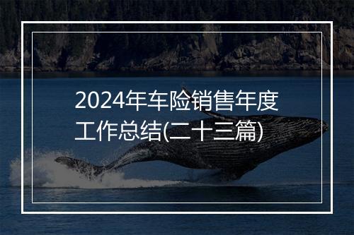 2024年车险销售年度工作总结(二十三篇)