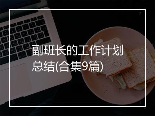 副班长的工作计划总结(合集9篇)