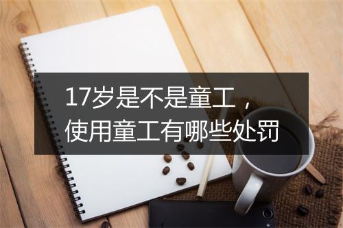 17岁是不是童工，使用童工有哪些处罚
