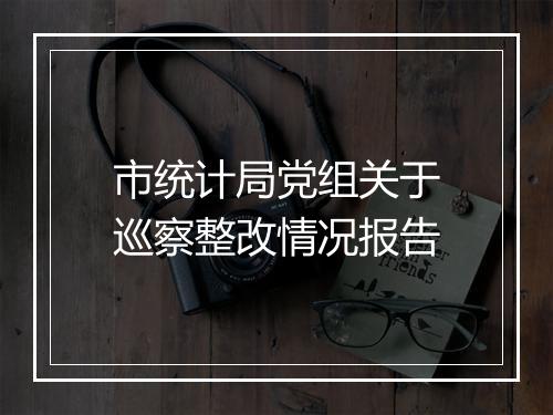 市统计局党组关于巡察整改情况报告