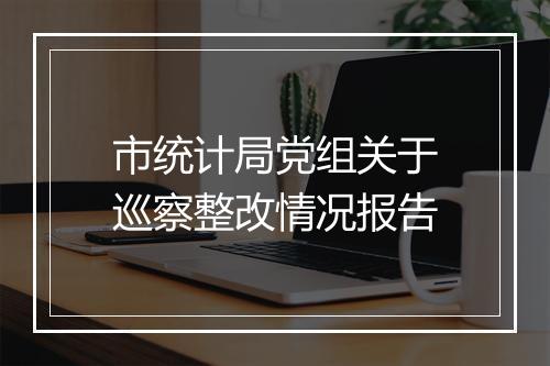 市统计局党组关于巡察整改情况报告