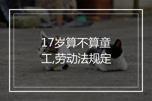 17岁算不算童工,劳动法规定