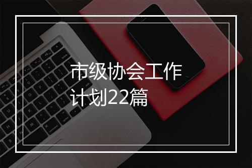 市级协会工作计划22篇