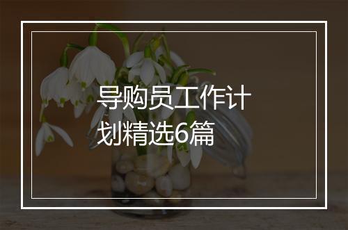 导购员工作计划精选6篇