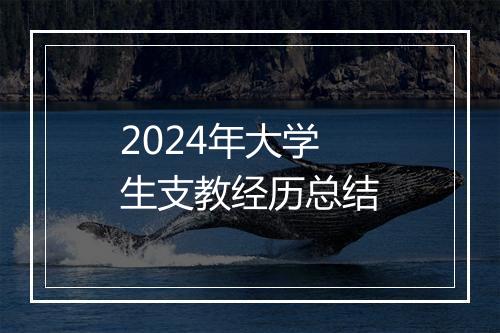 2024年大学生支教经历总结