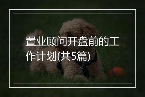 置业顾问开盘前的工作计划(共5篇)