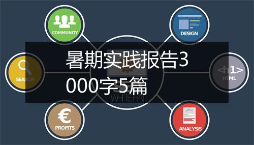 暑期实践报告3000字5篇