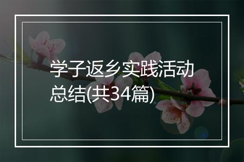 学子返乡实践活动总结(共34篇)