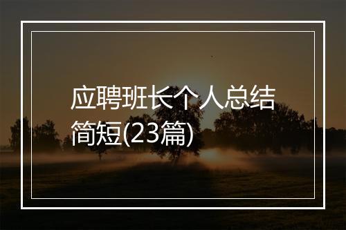 应聘班长个人总结简短(23篇)