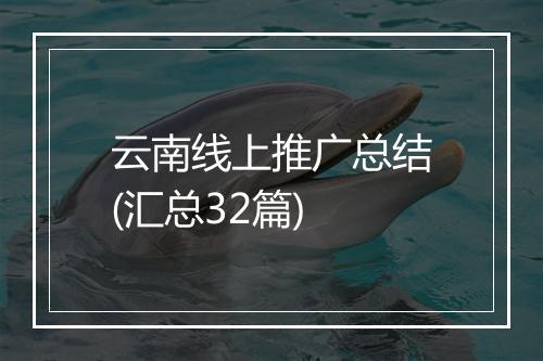 云南线上推广总结(汇总32篇)