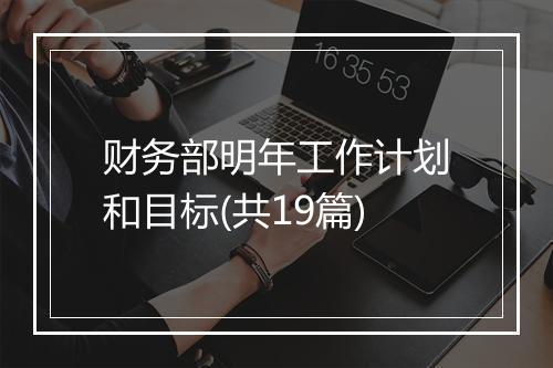 财务部明年工作计划和目标(共19篇)