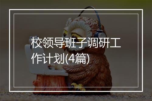 校领导班子调研工作计划(4篇)