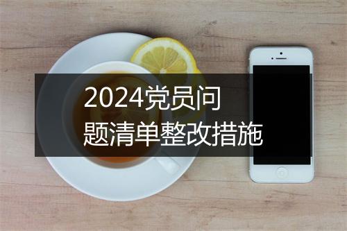 2024党员问题清单整改措施