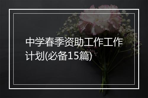 中学春季资助工作工作计划(必备15篇)