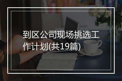 到区公司现场挑选工作计划(共19篇)