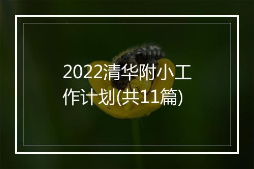 2022清华附小工作计划(共11篇)