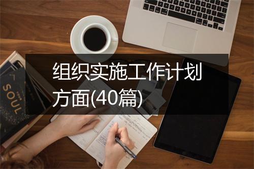 组织实施工作计划方面(40篇)