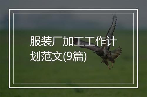 服装厂加工工作计划范文(9篇)