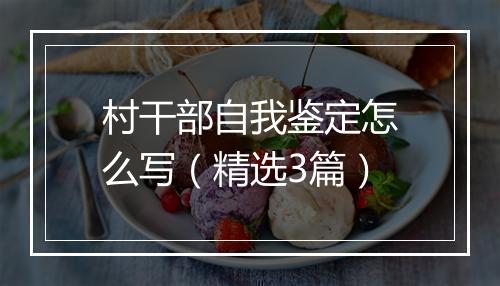 村干部自我鉴定怎么写（精选3篇）