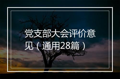 党支部大会评价意见（通用28篇）
