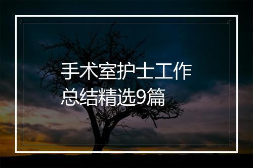 手术室护士工作总结精选9篇
