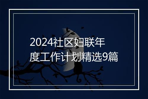 2024社区妇联年度工作计划精选9篇