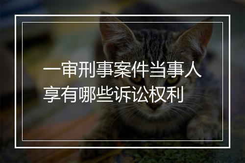 一审刑事案件当事人享有哪些诉讼权利