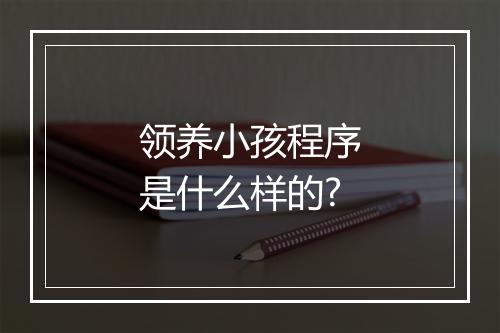 领养小孩程序是什么样的?