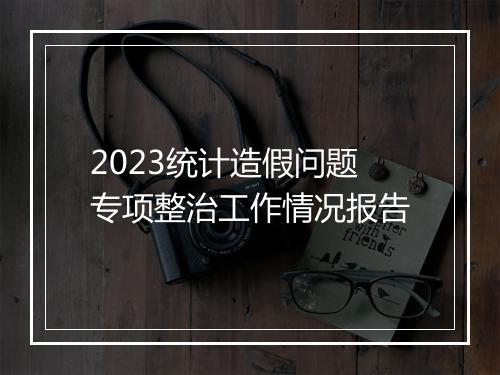 2023统计造假问题专项整治工作情况报告