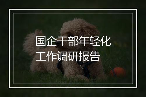 国企干部年轻化工作调研报告
