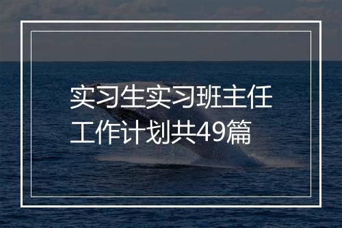 实习生实习班主任工作计划共49篇