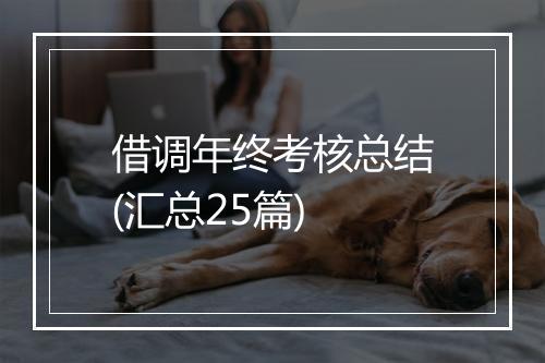 借调年终考核总结(汇总25篇)