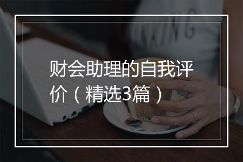 财会助理的自我评价（精选3篇）